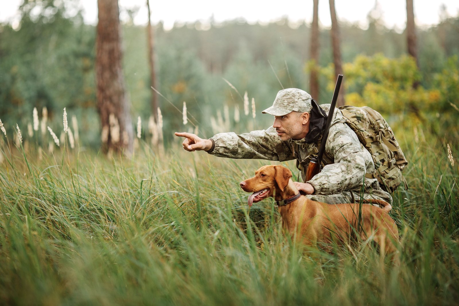 Comment bien dresser un chien pour la chasse au petit gibier ?