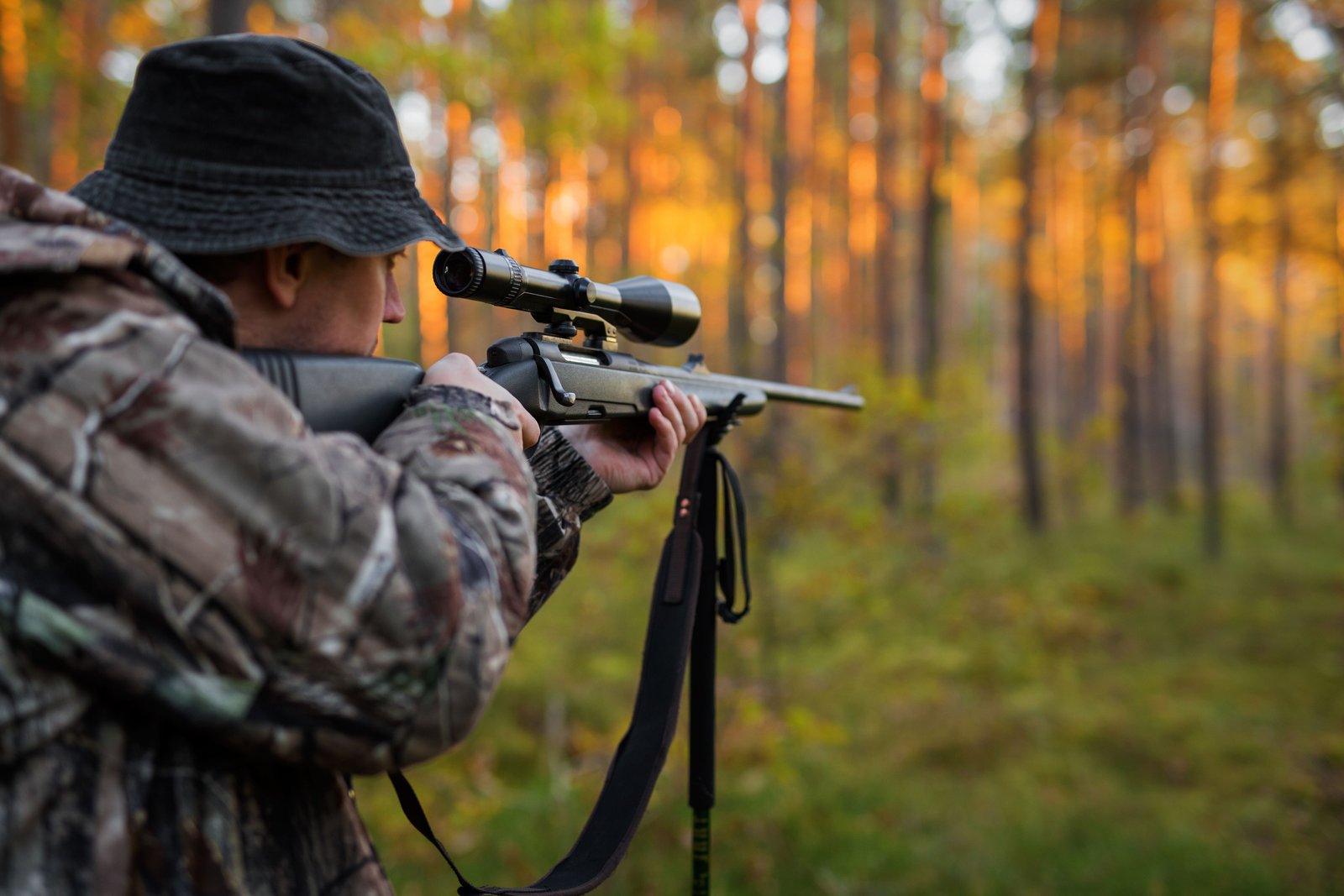 Quelle lunette de visée choisir pour la chasse en battue ?
