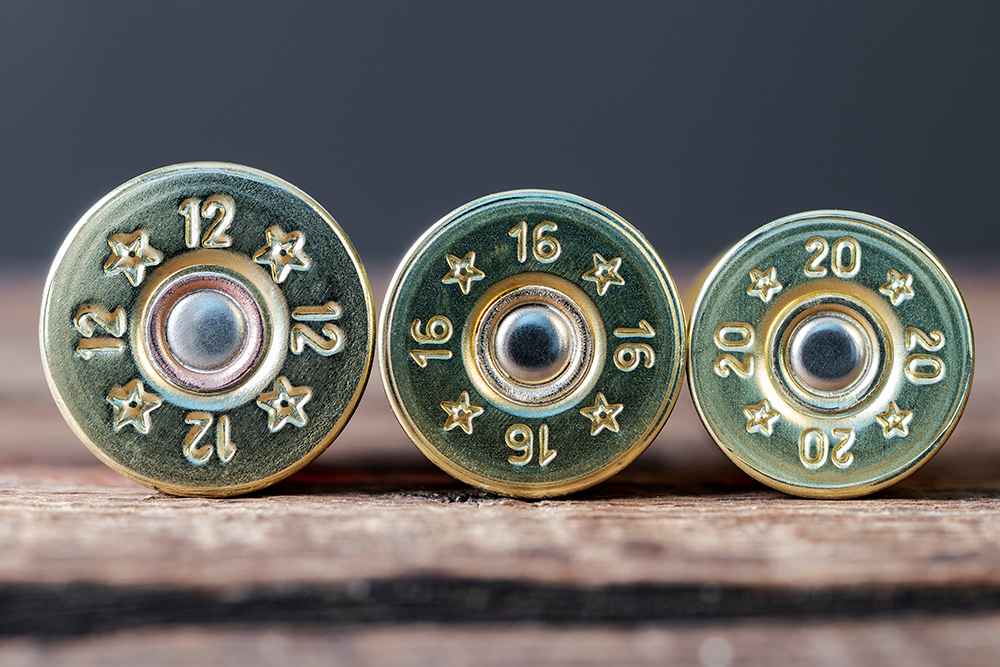 Culots de cartouches de chasse en calibre 12, 16 et 20 alignés sur une surface en bois, vue rapprochée.