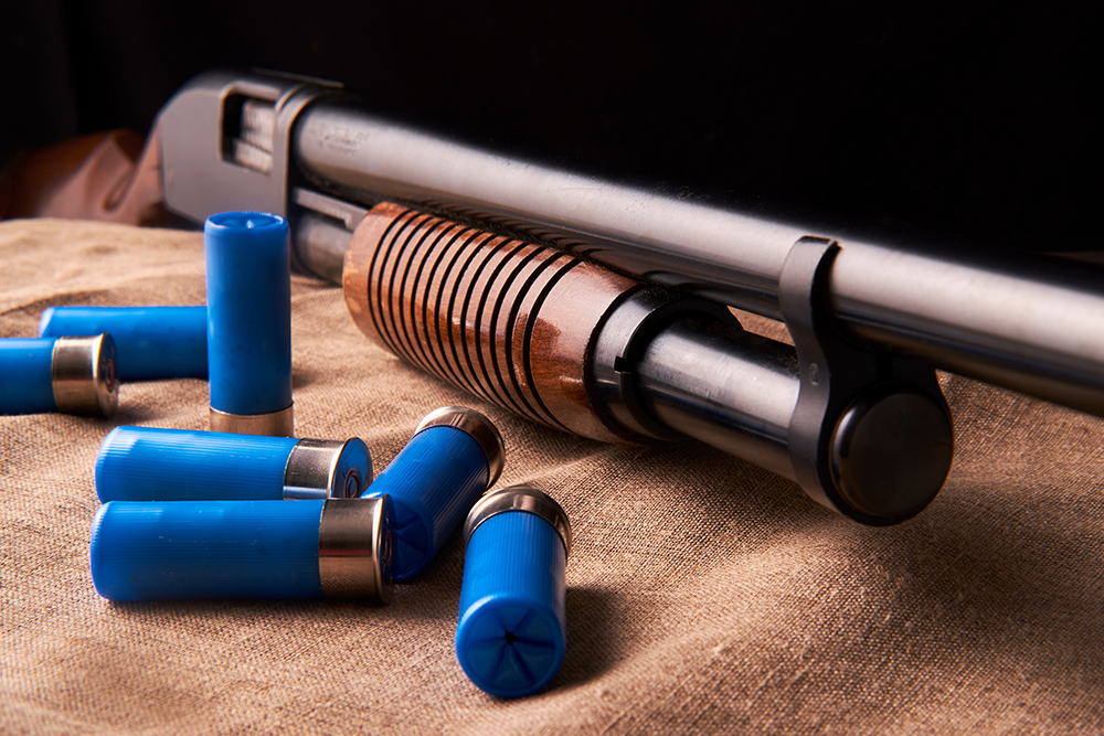 Fusil de chasse à pompe posé sur une toile, avec cartouches bleues de calibre 12 éparpillées au premier plan