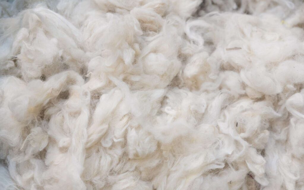 Fibres de laine mérinos brute, matière naturelle isolante utilisée dans les vêtements techniques