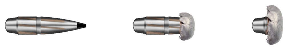 Séquence de la balle RWS Speed Tip montrant sa pointe aérodynamique, son expansion contrôlée et sa déformation après impact à longue distance.
