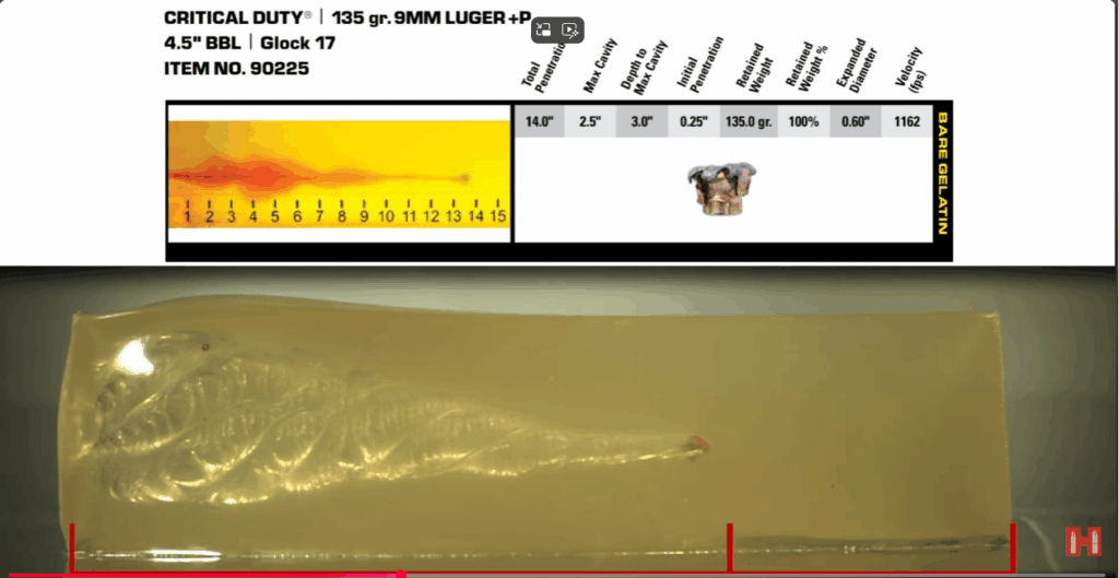 Test balistique en gel d’une cartouche Hornady Critical Duty 9x19 mm 135 grains +P, montrant une pénétration de 14 pouces et une expansion proche de celle du calibre .40 Smith et Wesson.
