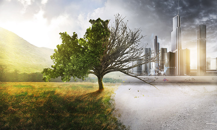 Illustration de l’impact humain sur la nature montrant la transition entre un espace naturel préservé et une zone urbaine fortement artificialisée.