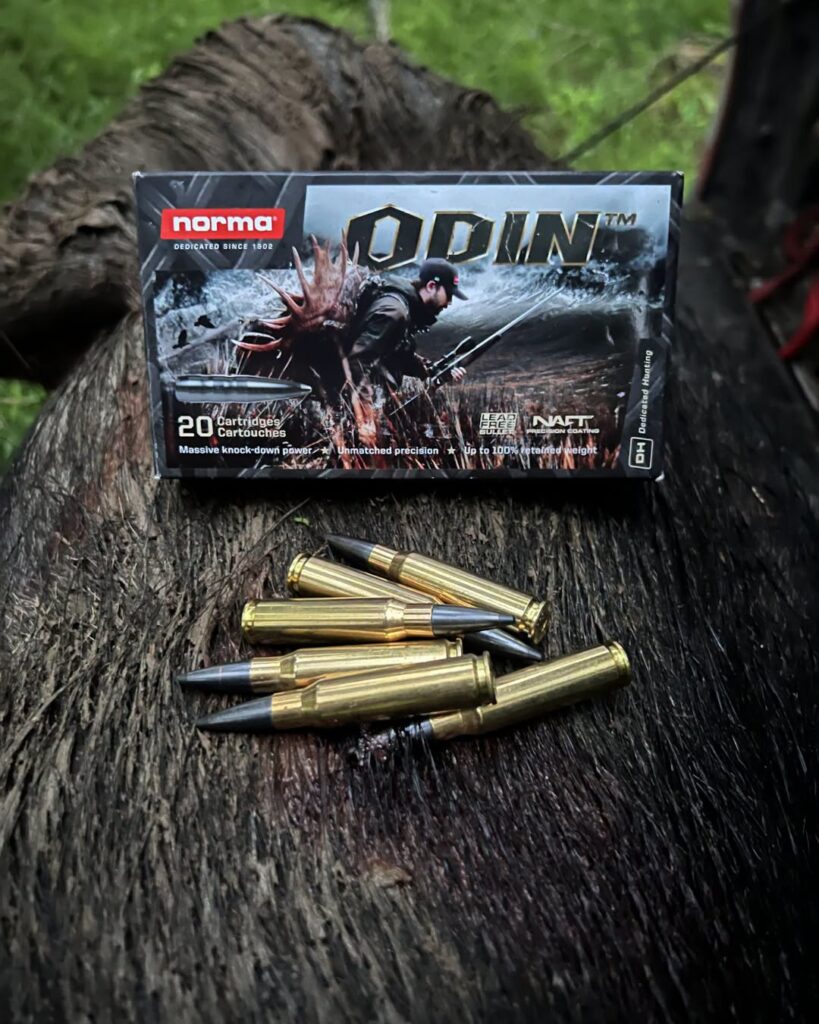 Boîte de cartouches Norma Odin et munitions posées sur un grand gibier après une chasse