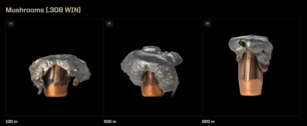 Expansion d’une balle Norma Bondstrike en .308 Winchester à 100, 500 et 800 mètres