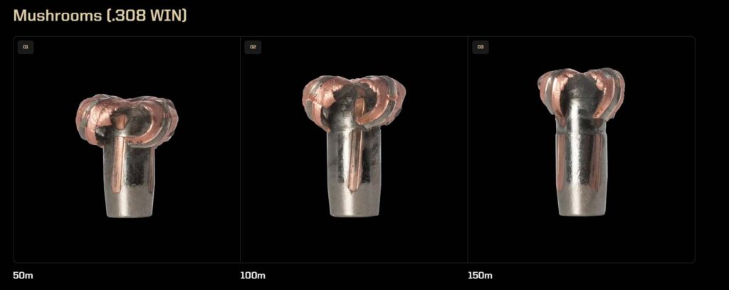 Expansion d’une balle Norma Ecostrike en .308 Winchester à 50, 100 et 150 mètres
