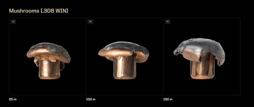 Expansion d’une balle Norma Tipstrike en .308 Winchester à 25, 100 et 150 mètres
